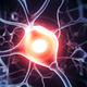 Illustration for article titled Blasting the Brain with Ultrasound Enhances Sensory Abilities